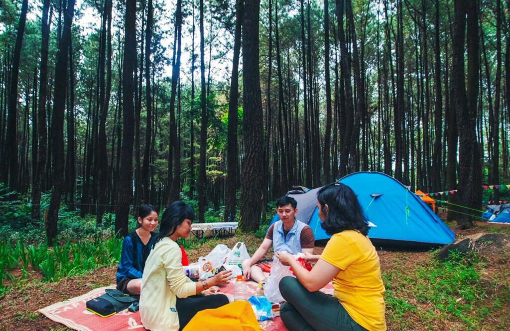 Tempat Camping Di Bogor Hutan Pinus Gunung Pancar Camp Outbound